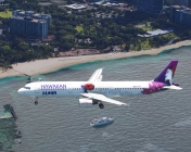 Aloha! 和史迪奇共赴夏威夷之旅