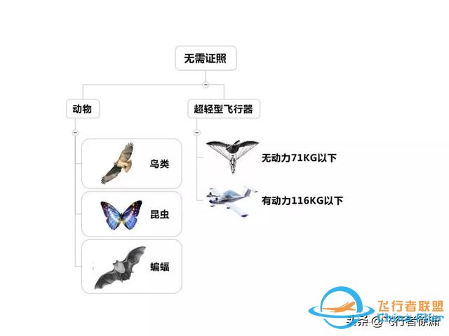 學(xué)習(xí)飛行的初級入門知識！-2540