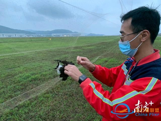 保障航空器飛行安全，珠海機場探索“智慧 生態(tài)”驅鳥方式-888