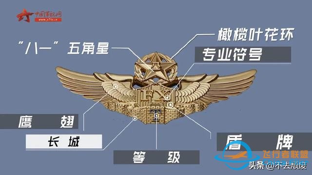科普飛行員胸前標識的“玄機”？細節滿滿！知識滿滿-6586