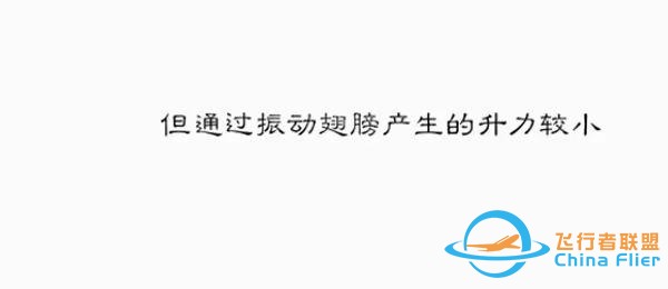 用漫畫(huà)講航空，那些年我們一起學(xué)習(xí)鳥(niǎo)類飛行的日子……-7996