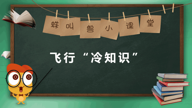 三萬英尺高空，你不知道的飛行“冷知識”