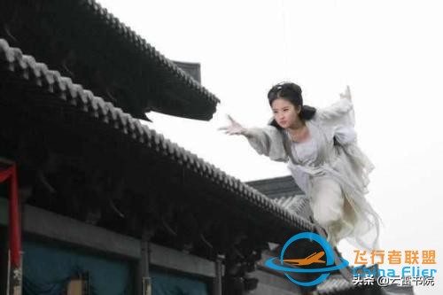 關于東西方飛行的知識考古，兼論趴著飛與站著飛孰優孰劣-7222