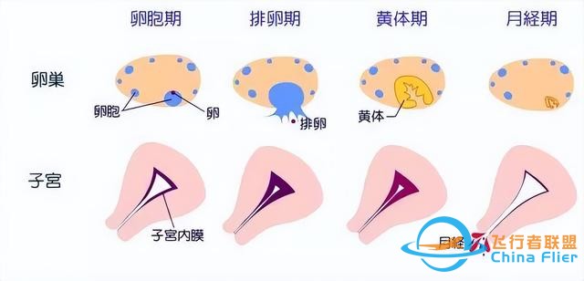 女航天員去太空時，為何要吃避孕藥？在飛船中到底會發生什么？-8186