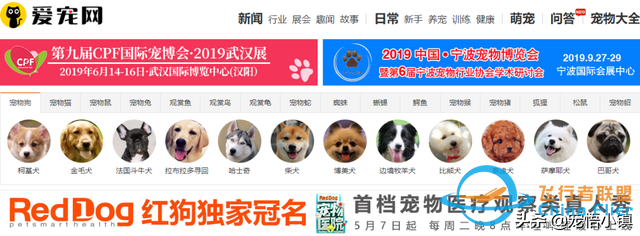 國(guó)內(nèi)外較著名的寵物網(wǎng)站大全-9218